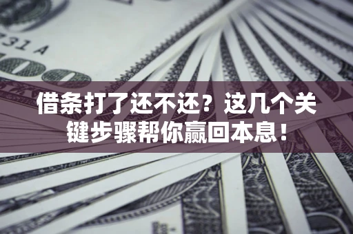 武汉借条打了还不还？这几个关键步骤帮你赢回本息！