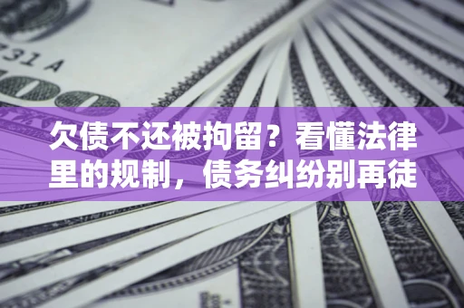 武汉欠债不还被拘留？看懂法律里的规制，债务纠纷别再徒劳奔波