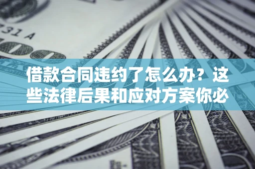 武汉借款合同违约了怎么办？这些法律后果和应对方案你必须知道