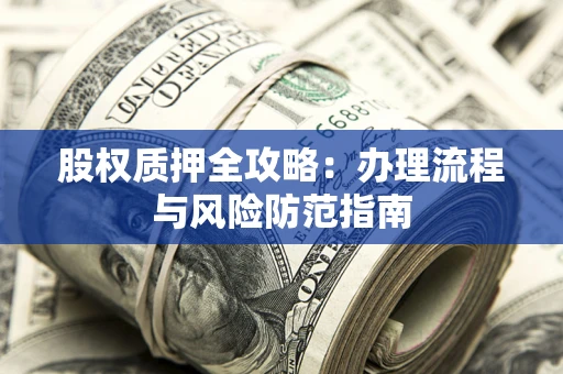 武汉股权质押全攻略：办理流程与风险防范指南