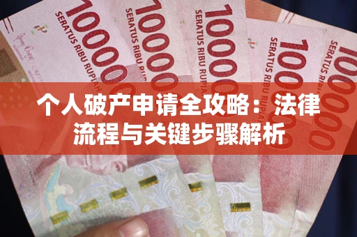 武汉个人破产申请全攻略：法律流程与关键步骤解析
