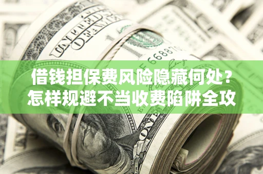 武汉借钱担保费风险隐藏何处？怎样规避不当收费陷阱全攻略！