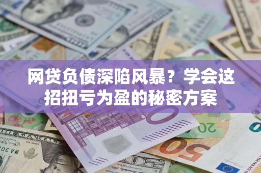 武汉网贷负债深陷风暴？学会这招扭亏为盈的秘密方案