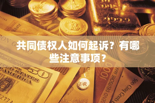 武汉共同债权人如何起诉？有哪些注意事项？